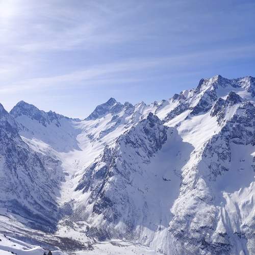 Photo #11692184
