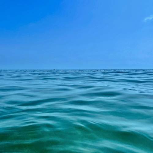 Photo #11692449