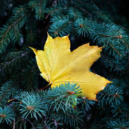 Photo #11692512