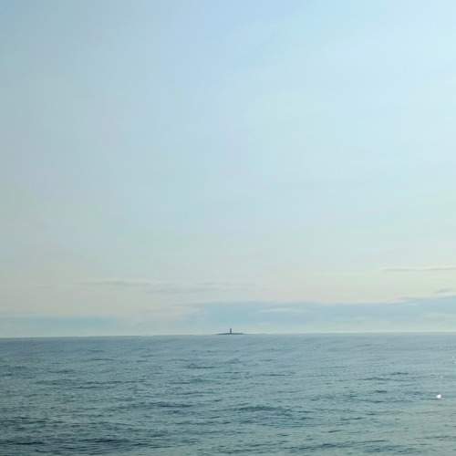 Photo #11692521