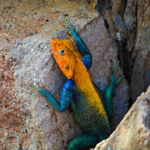 Photo #11692524