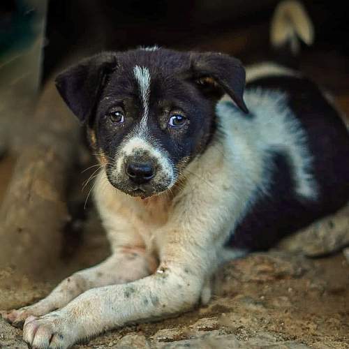 Photo #11692721