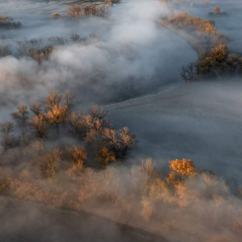 Photo #11692906