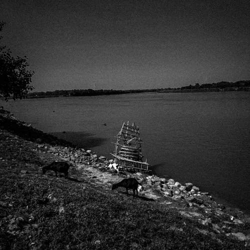 Photo #11692918