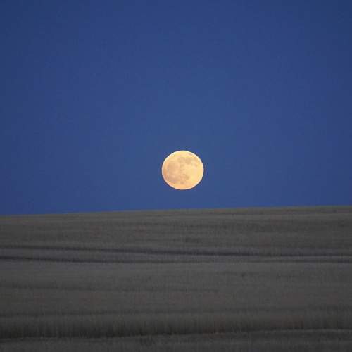 Photo #11693613