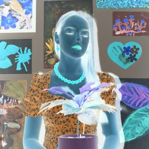 Photo #11693721