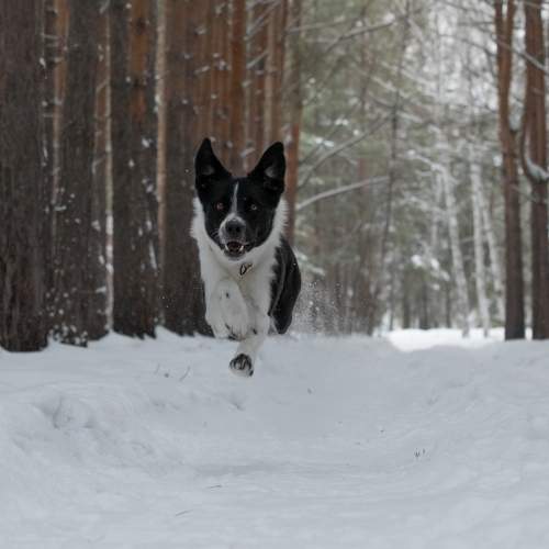 Photo #11693957