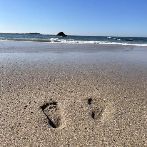 Photo #11694096