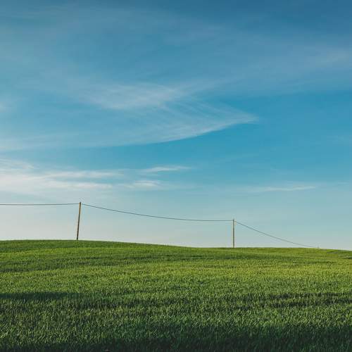 Wiosenny minimalizm