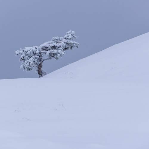 Photo #11694459