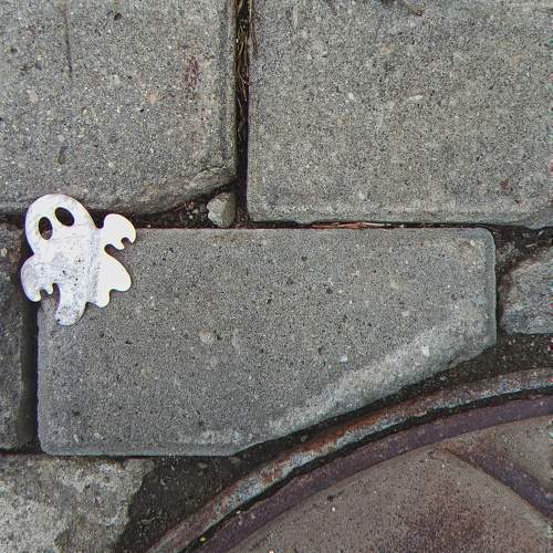 Photo #11694498