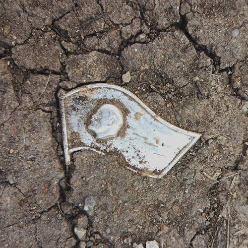 Photo #11694502