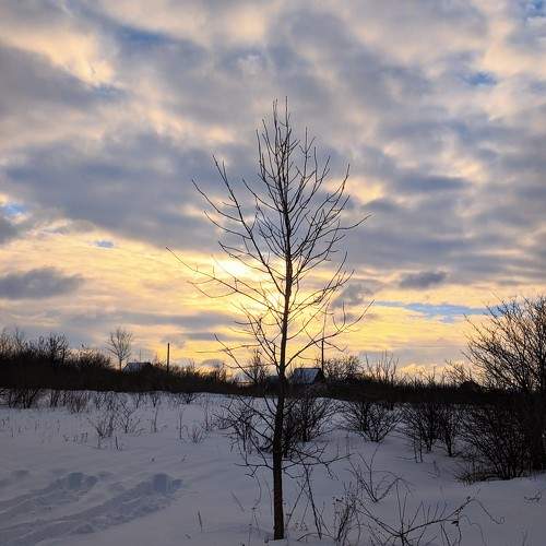 Photo #11694985