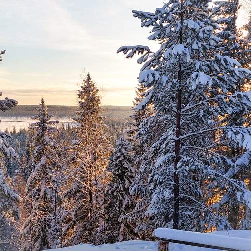 Photo #11695049