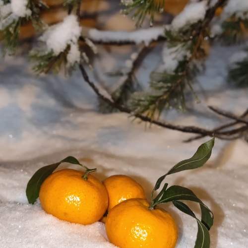 Photo #11695112