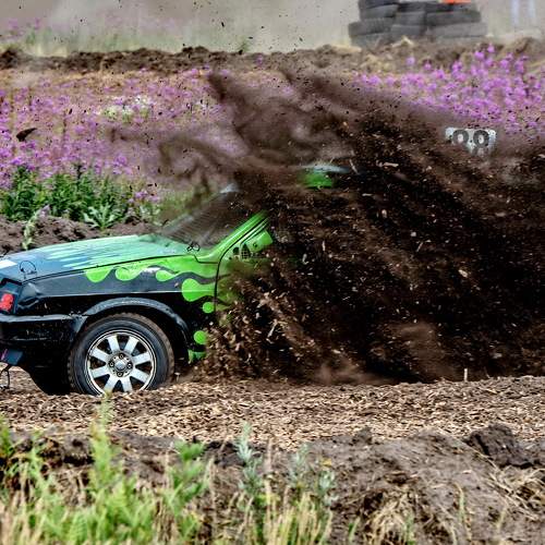 Photo #11695455