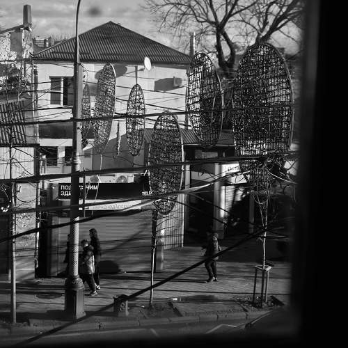 Photo #11695655