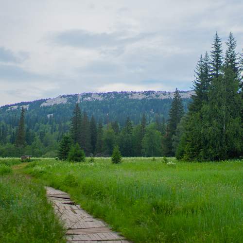 Photo #11695658