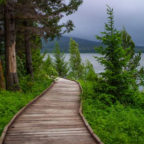 Photo #11695663