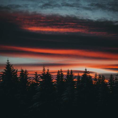 Photo #11695665