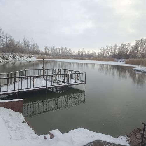 Photo #11695771