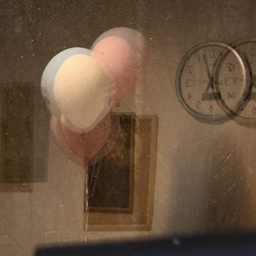 Photo #11695806