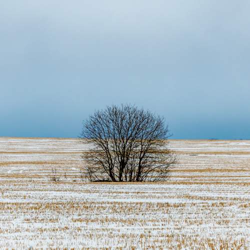 Photo #11695899