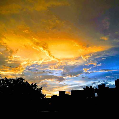 Photo #11695920