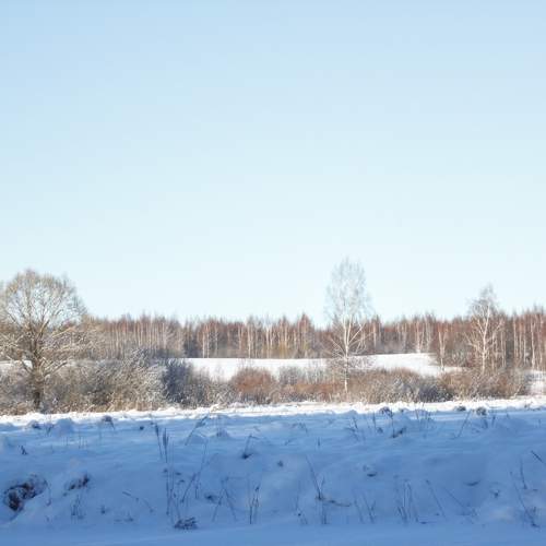 Photo #11695973