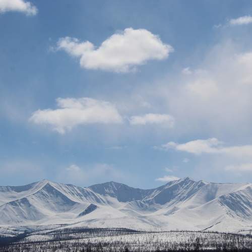 Photo #11696001