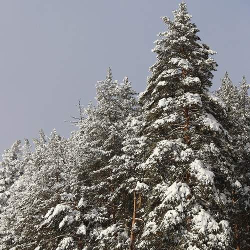 Photo #11696011