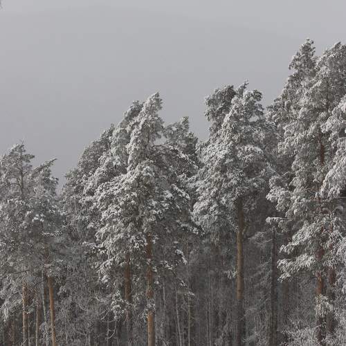 Photo #11696027