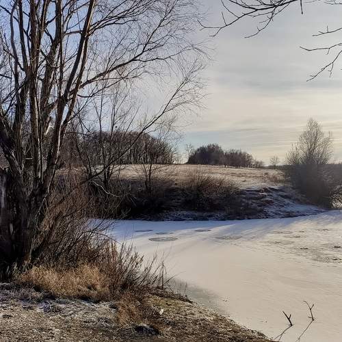 Photo #11696072
