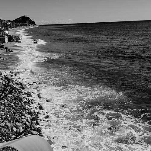 Photo #11696141
