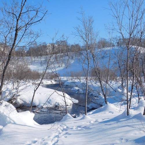 Photo #11696195