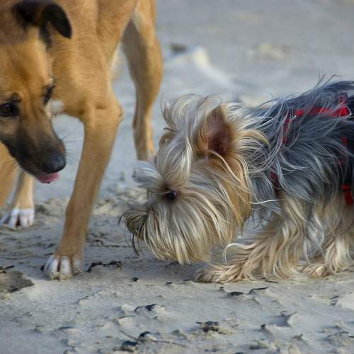 Photo #11696234