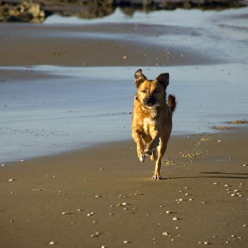Photo #11696247