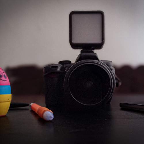 Photo #11696470