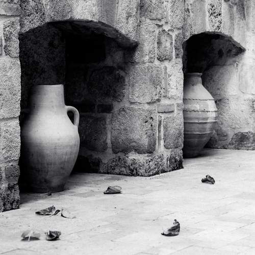 Photo #11696487