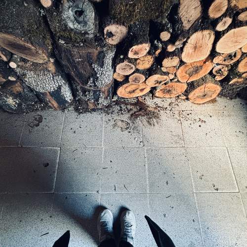 Photo #11696664