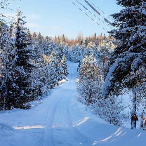 Photo #11696754