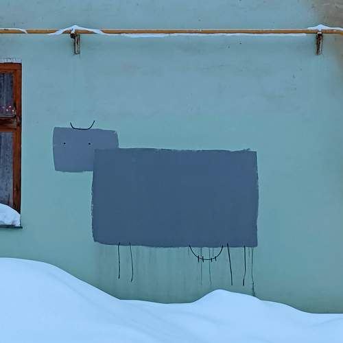 Photo #11696807