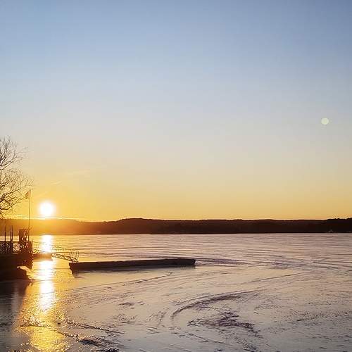 Photo #11696861