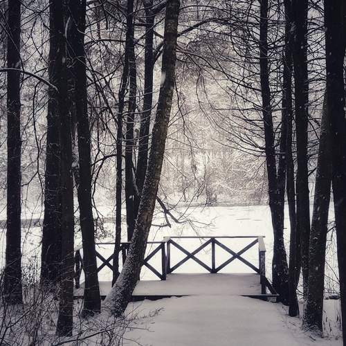 Photo #11696867