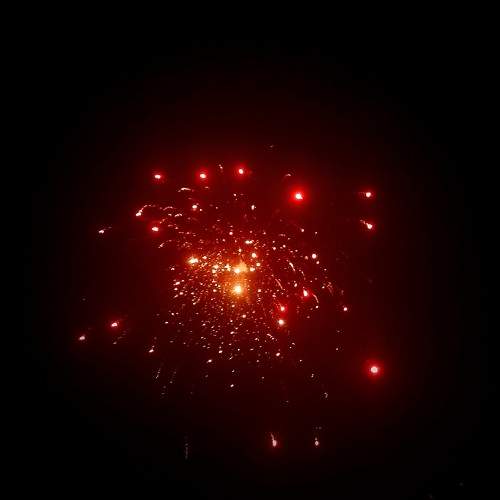 Photo #11697050