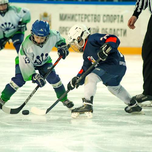 Photo #11697057