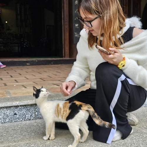 Фотография #11697098