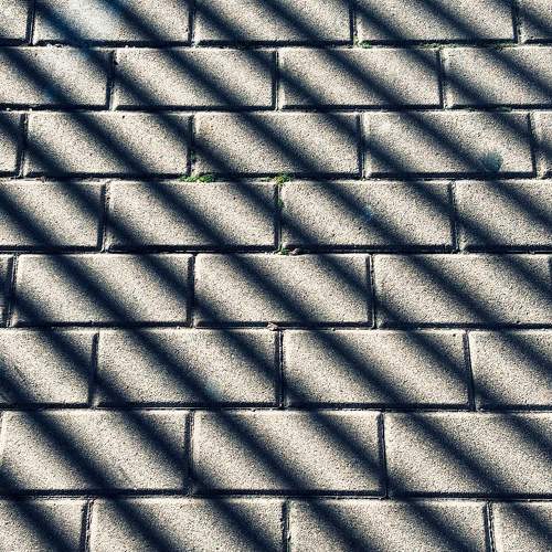 Photo #11697151