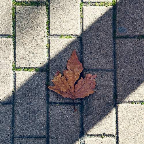 Photo #11697153