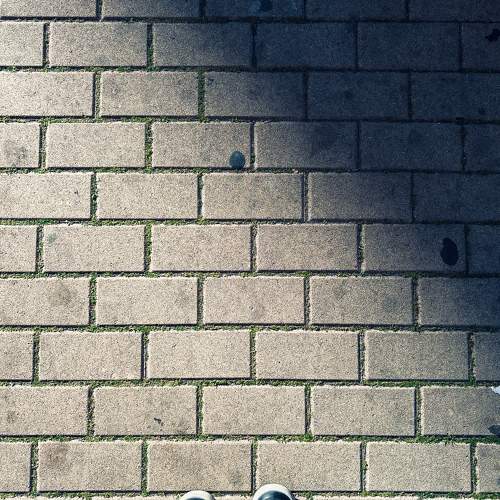 Photo #11697155
